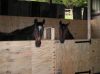 Filename=NewPic00.jpg
Filesize=18KB
Dimensions=295x221
Date added=Apr 17, 2008 NewPic00.jpg