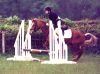 Filename=Duke_Bethan.jpg
Filesize=45KB
Dimensions=414x310
Date added=Apr 17, 2008 Duke_Bethan.jpg