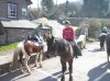 Filename=Saturday_Saddle_Club_Member.jpg
Filesize=49KB
Dimensions=414x310
Date added=Apr 17, 2008 Saturday_Saddle_Club_Member.jpg