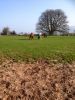 Filename=enjoying_the_sun.jpg
Filesize=150KB
Dimensions=720x960
Date added=Apr 21, 2015 enjoying_the_sun.jpg
