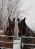 Filename=mail6.jpg
Filesize=265KB
Dimensions=400x549
Date added=Feb 15, 2009 mail6.jpg