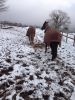 Filename=snow_ponies!.jpg
Filesize=127KB
Dimensions=720x960
Date added=Apr 21, 2015 snow_ponies!.jpg